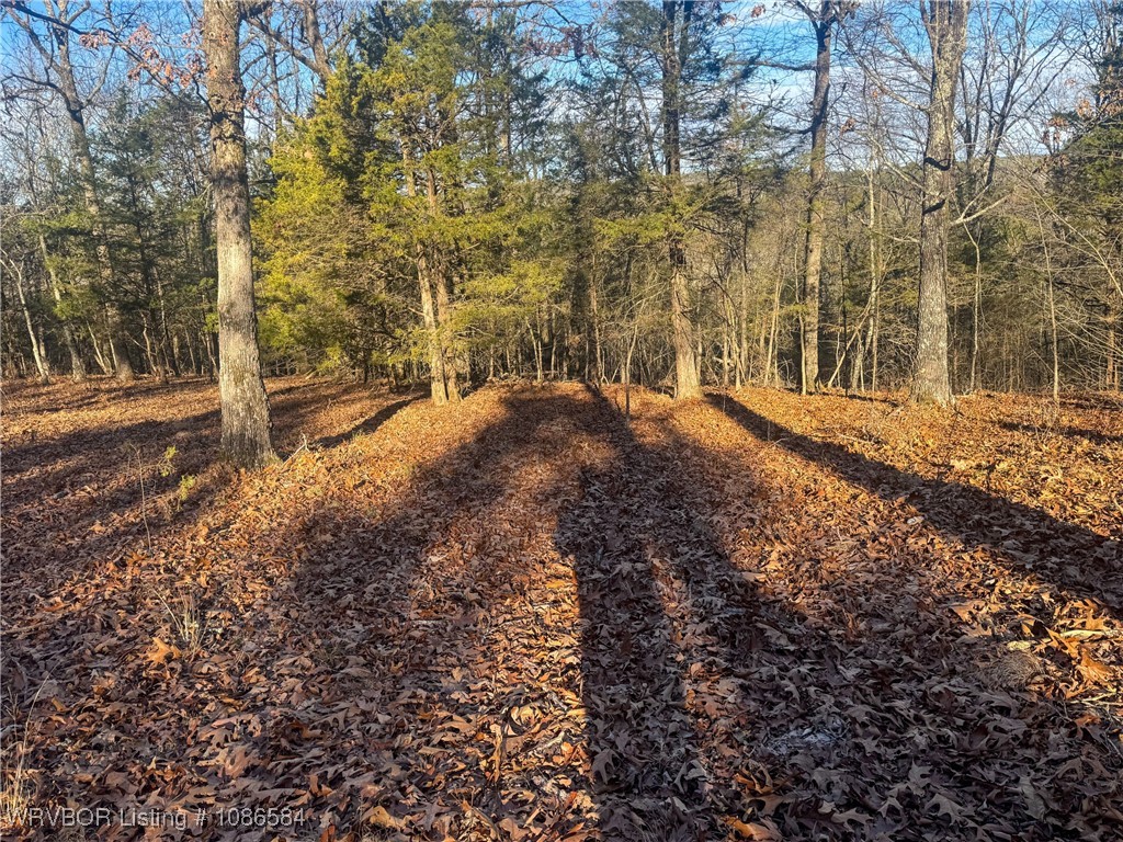 main property photo 13