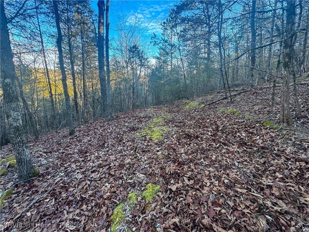main property photo 14
