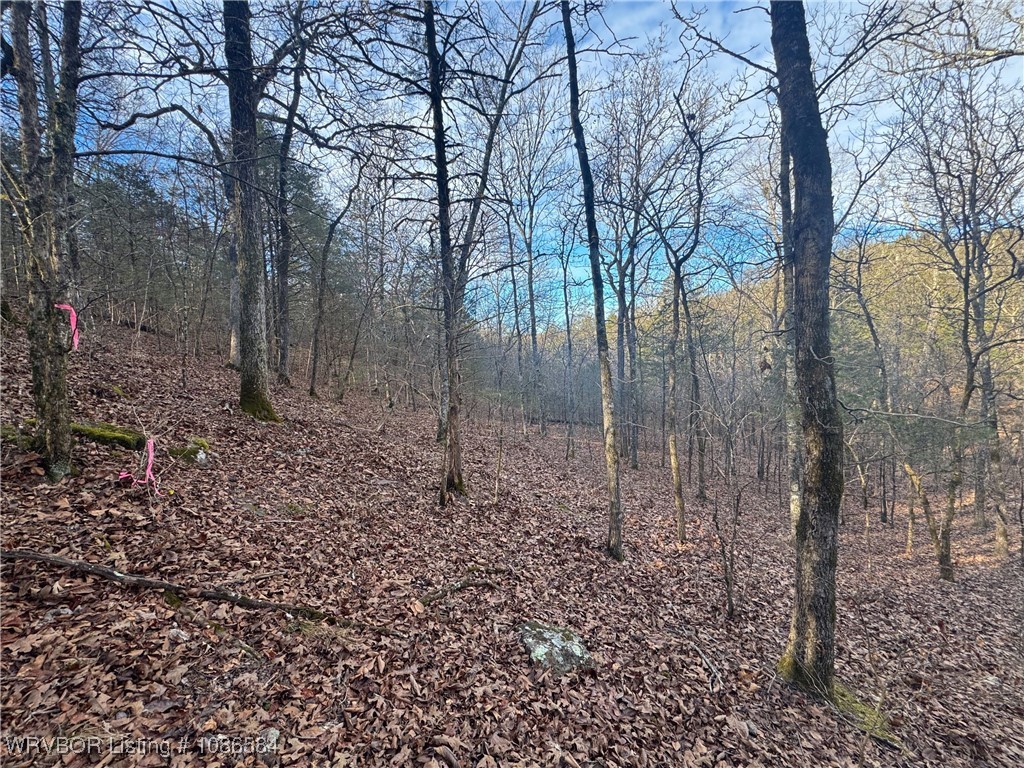 main property photo 18
