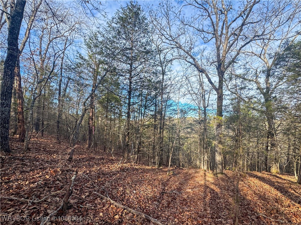 main property photo 19
