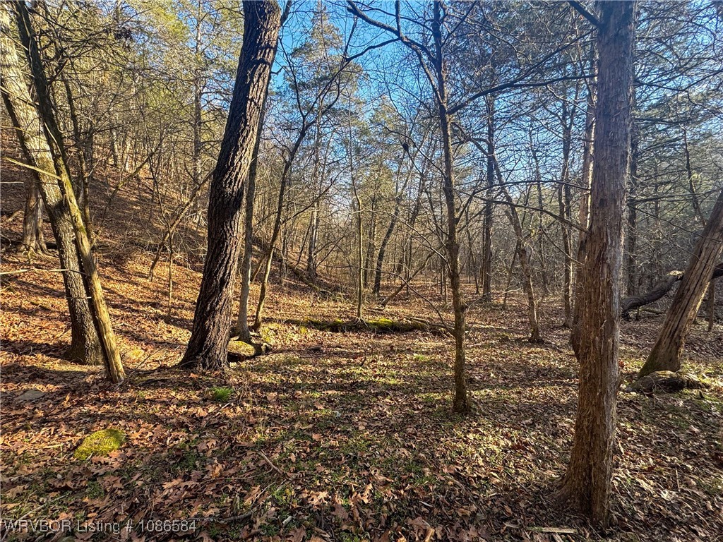 main property photo 20
