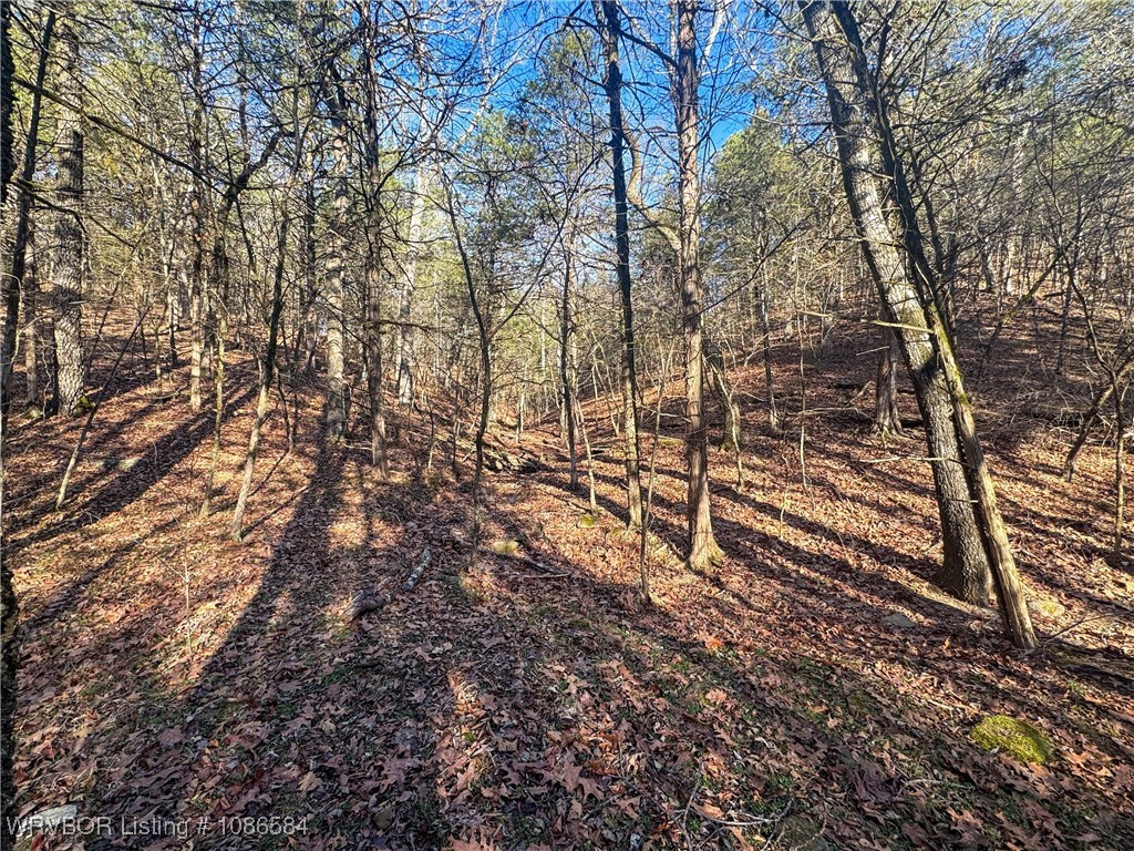 main property photo 22