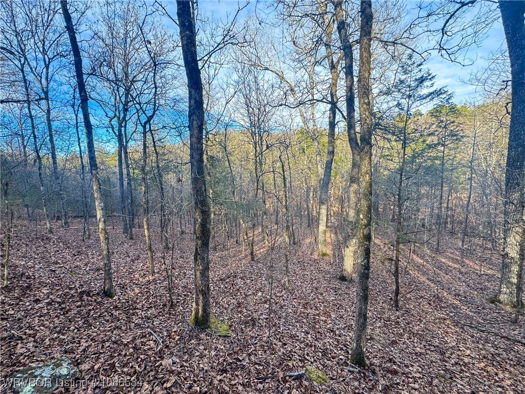 main property photo 23