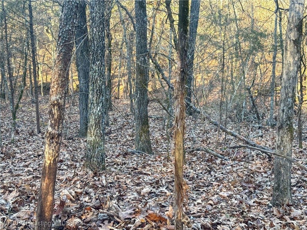 main property photo 24