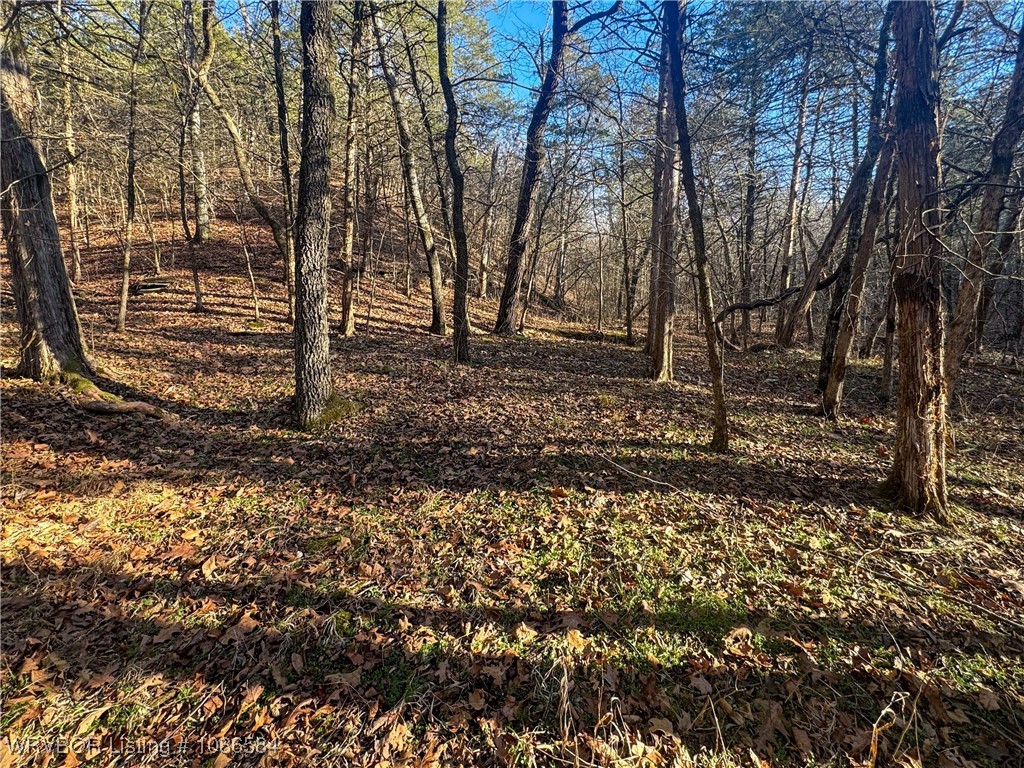 main property photo 26