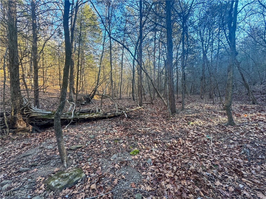 main property photo 29