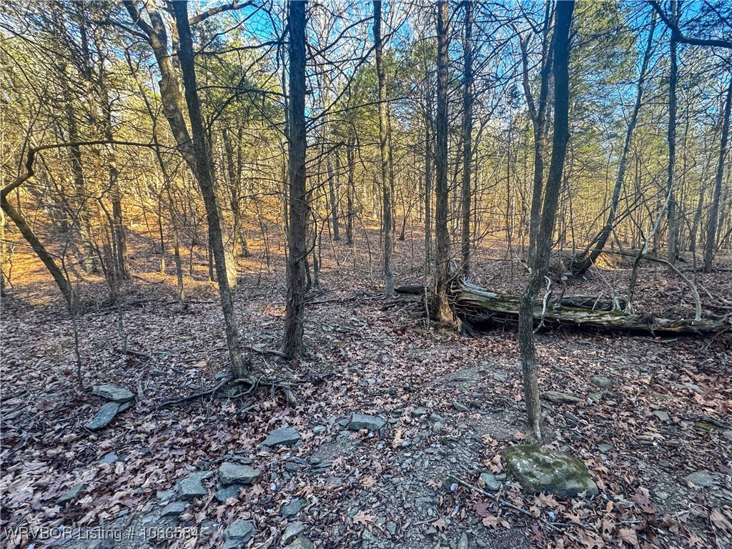 main property photo 30