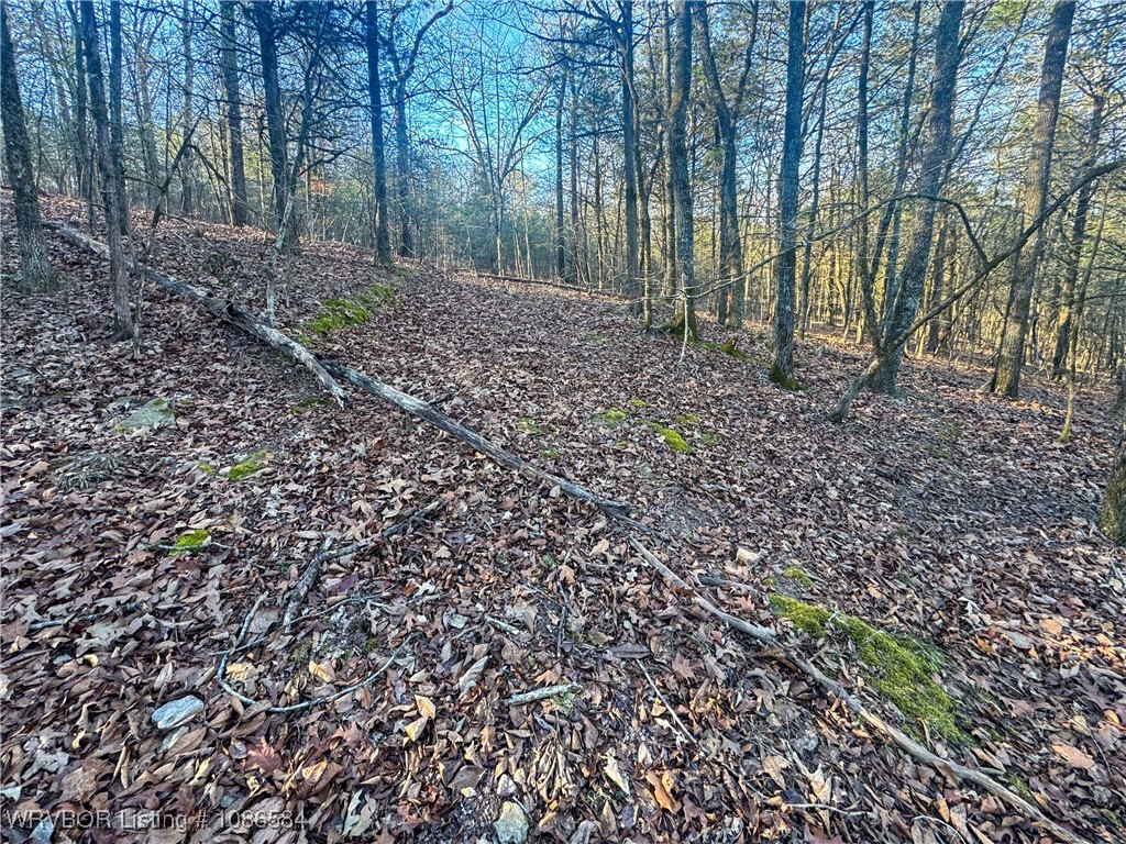 main property photo 32