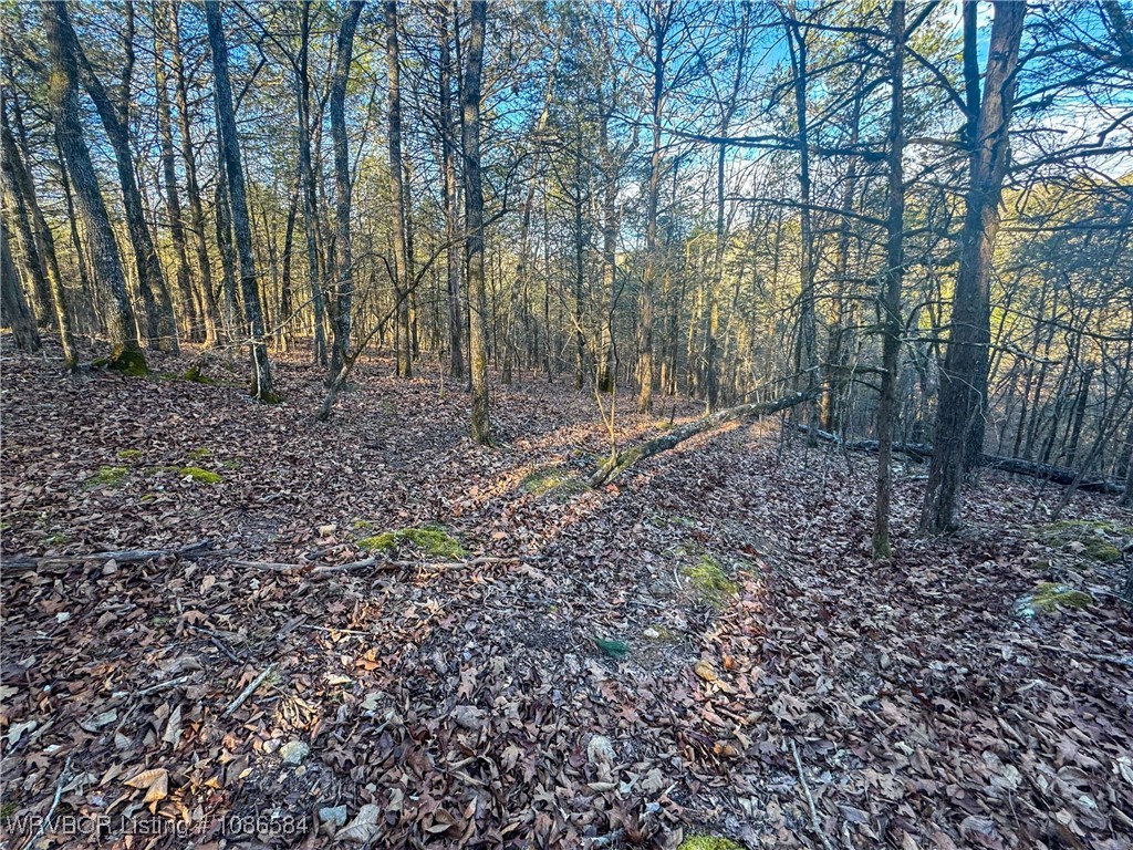 main property photo 33