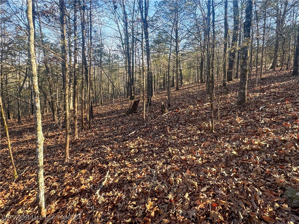 main property photo 34