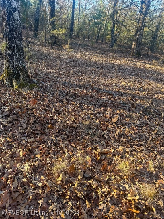 main property photo 35