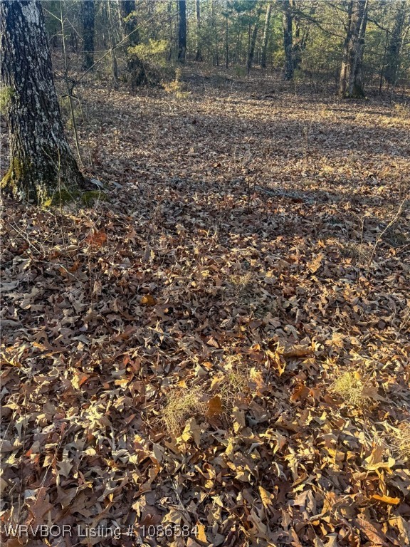 main property photo 36