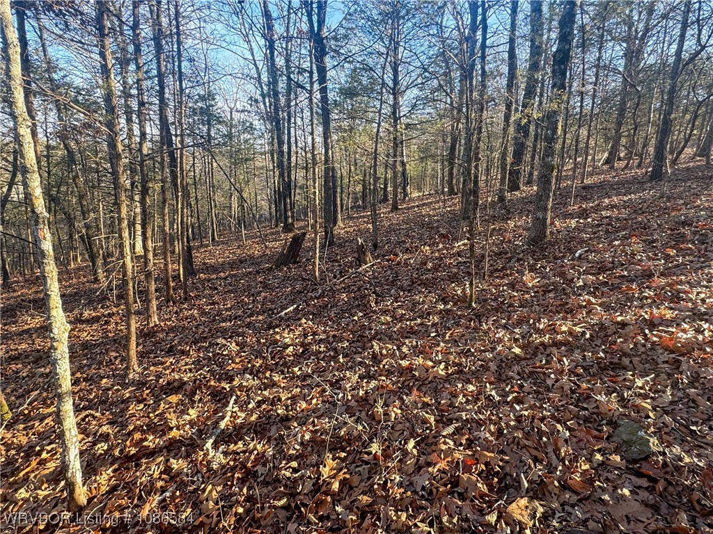 main property photo 37