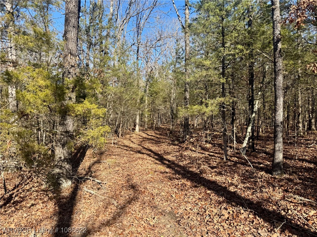 main property photo 0