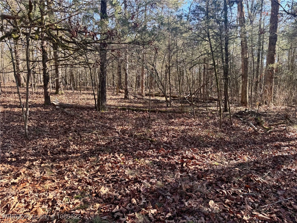main property photo 10