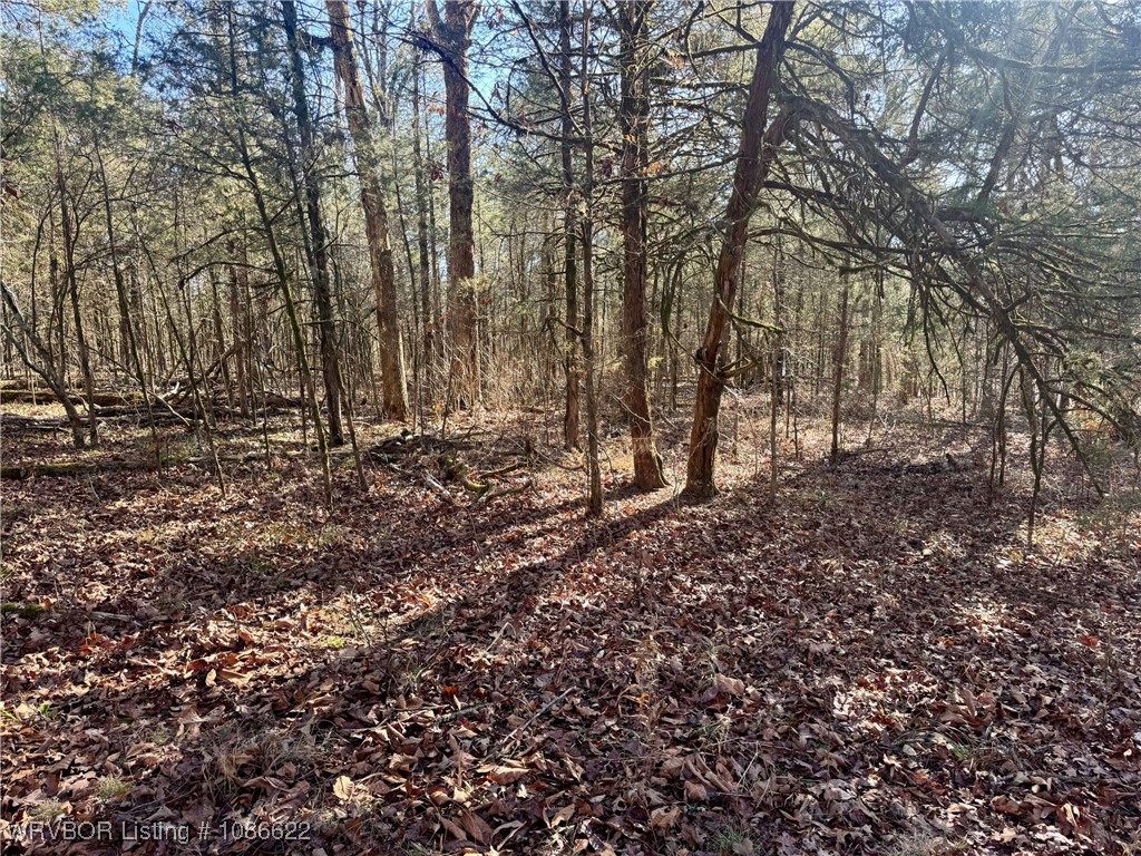 main property photo 11