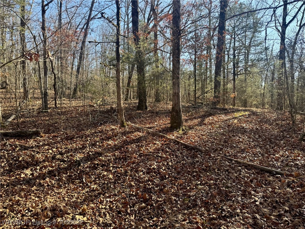 main property photo 14