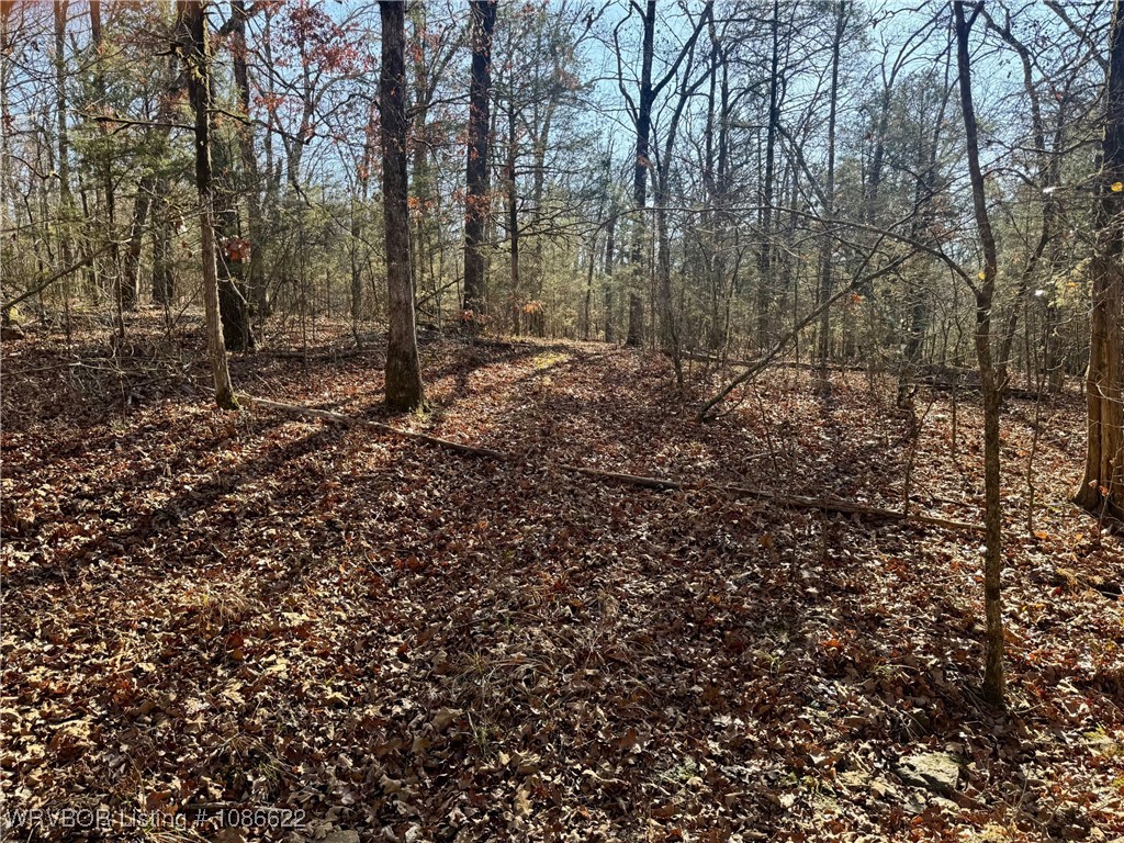 main property photo 17