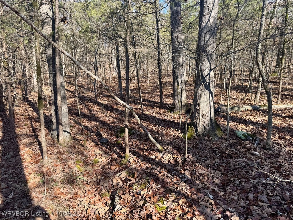 main property photo 18