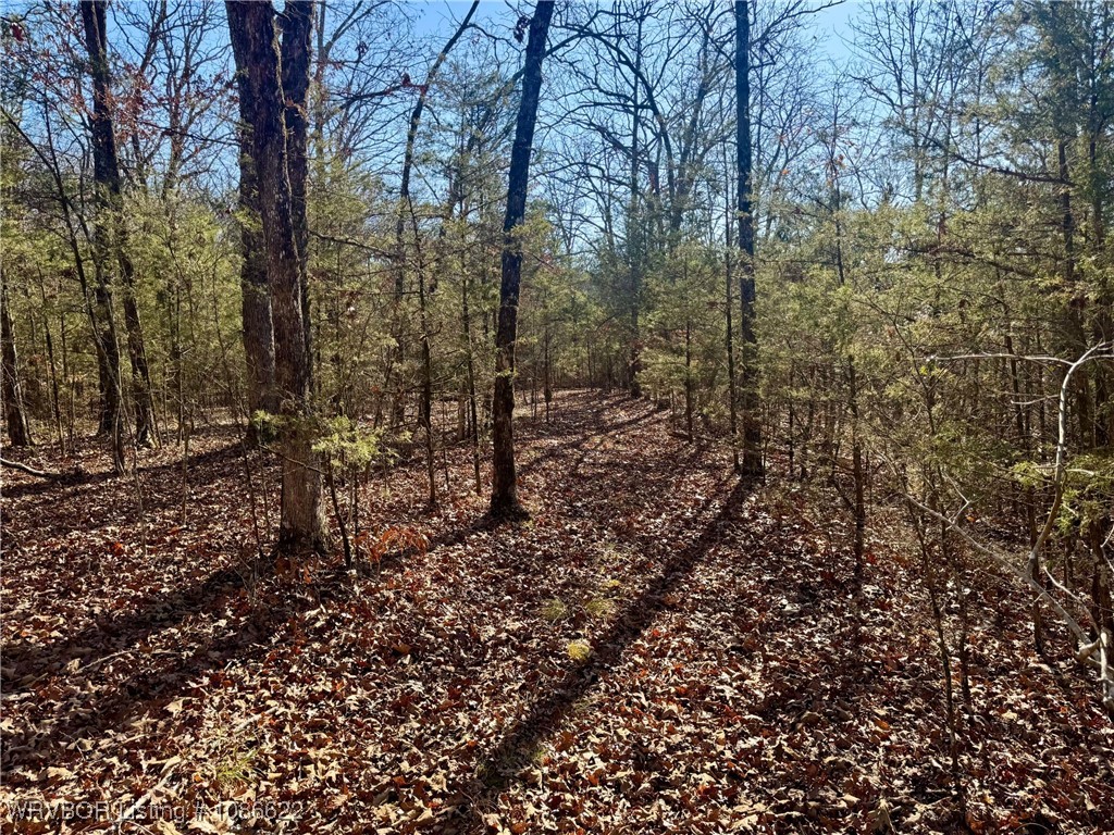 main property photo 23