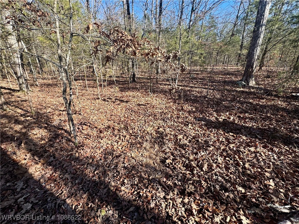 main property photo 24