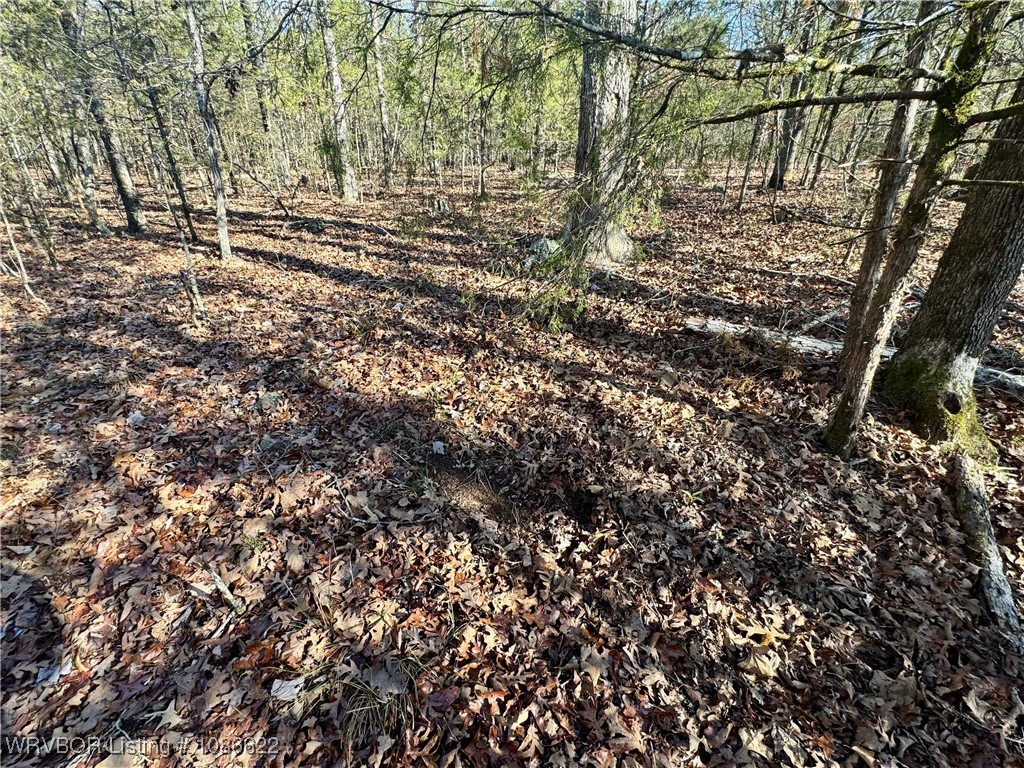 main property photo 25