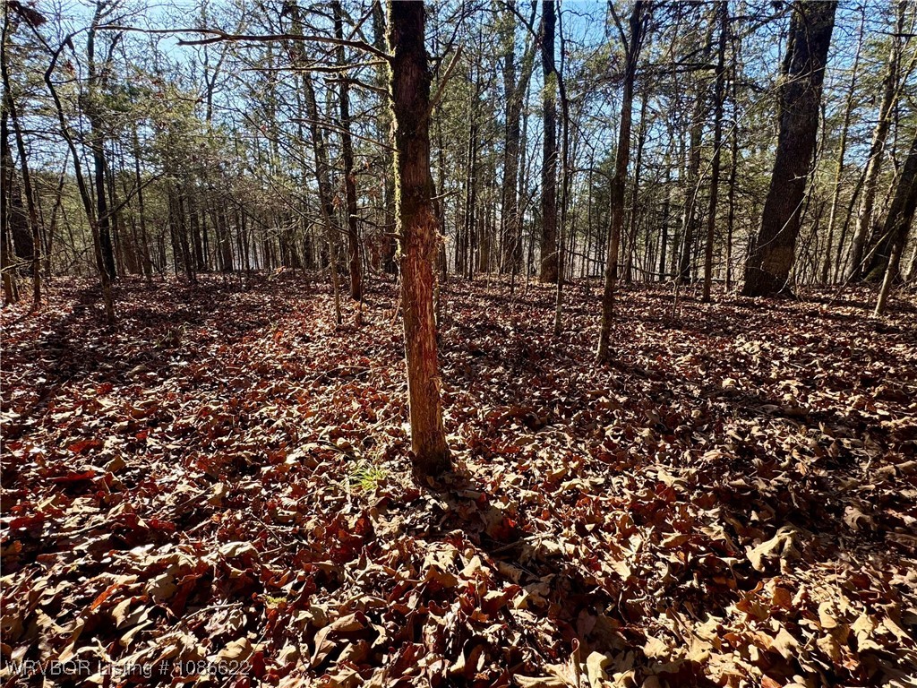 main property photo 29