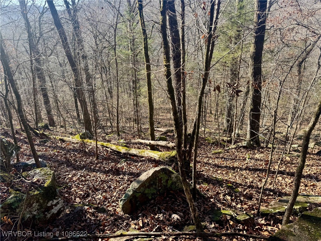 main property photo 7