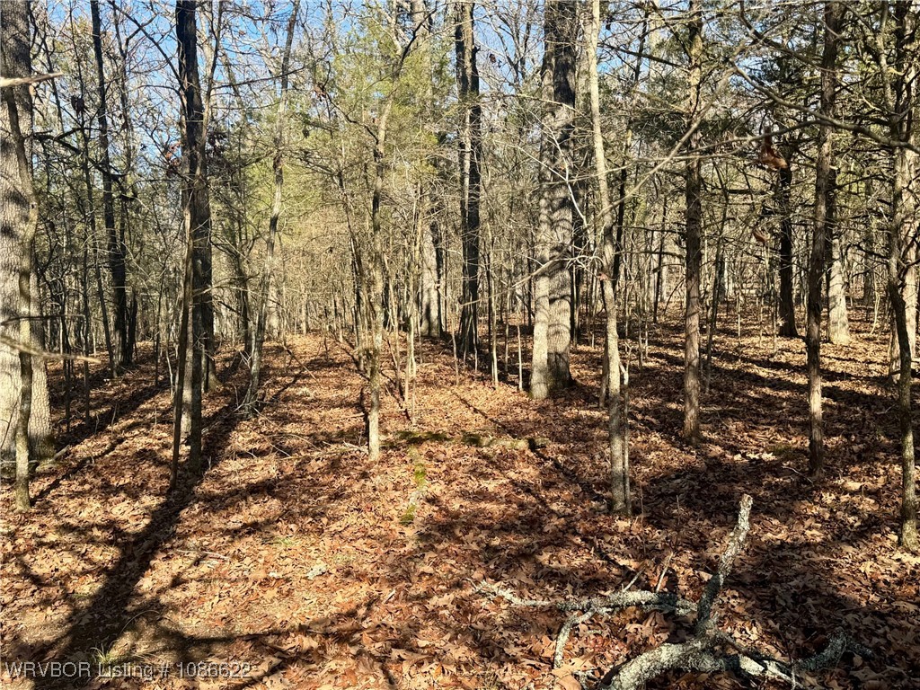 main property photo 9
