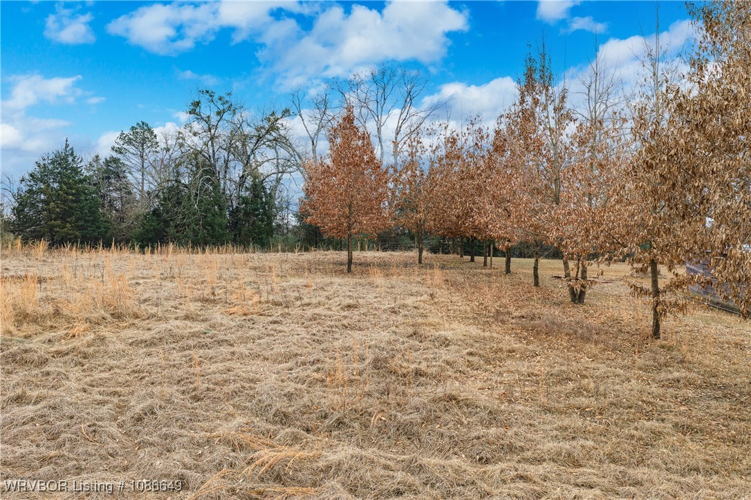main property photo 39