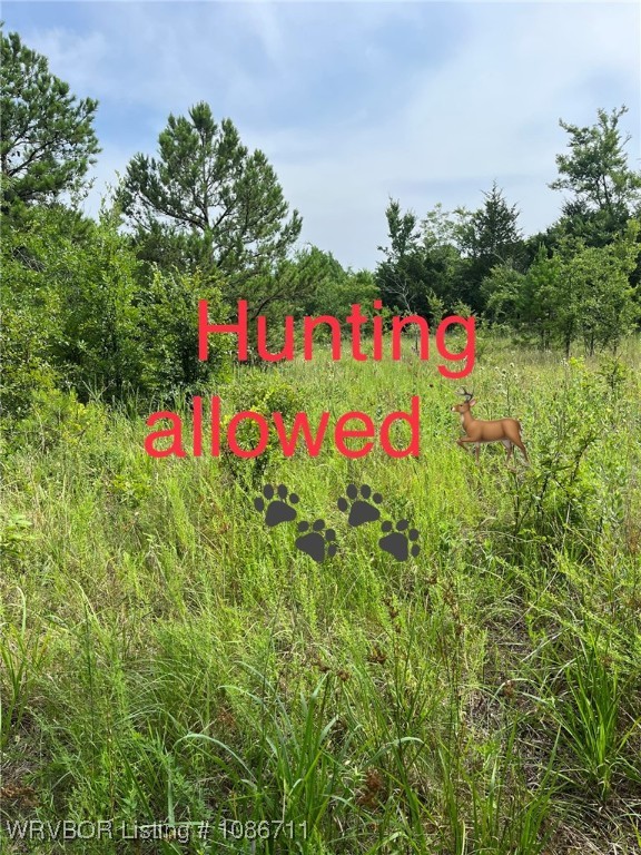 main property photo 13