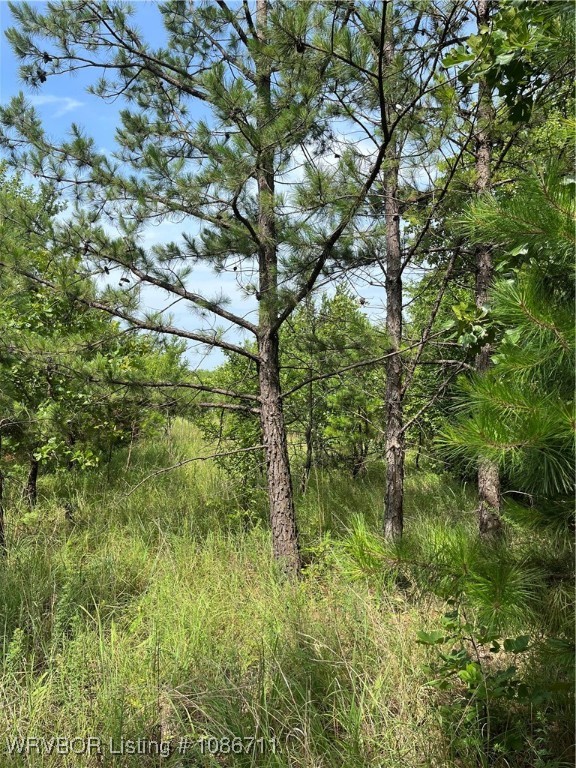 main property photo 19