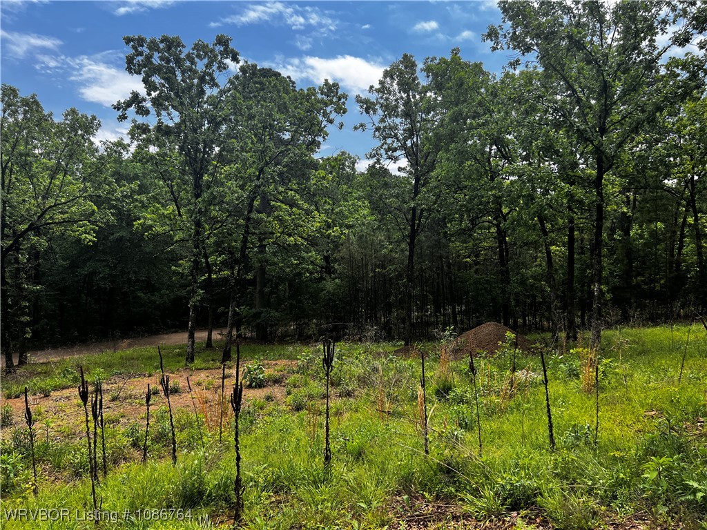 main property photo 7