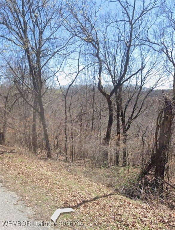 main property photo 6