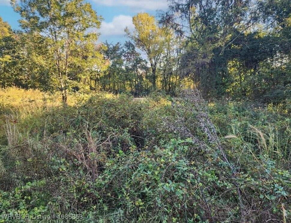 main property photo 8