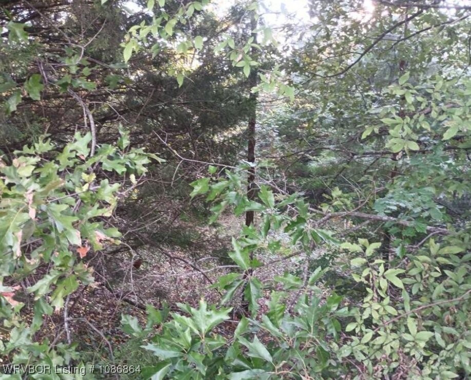 main property photo 7