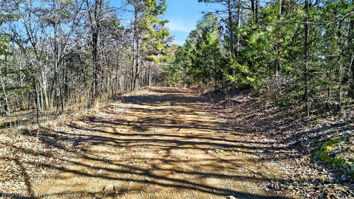 main property photo 41
