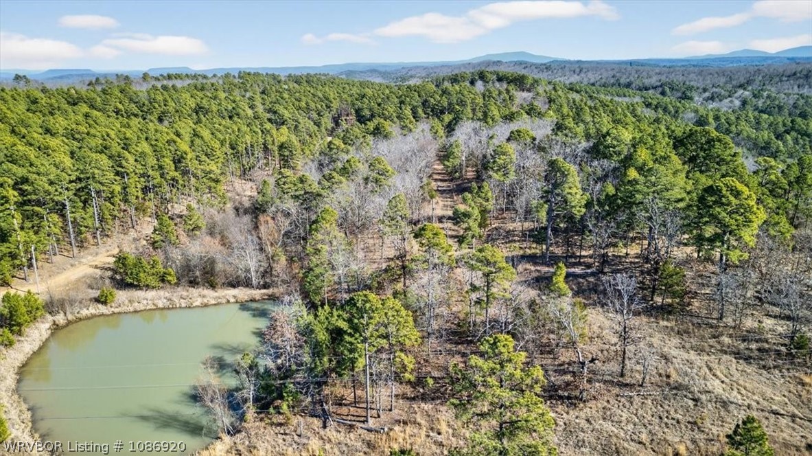 main property photo 64