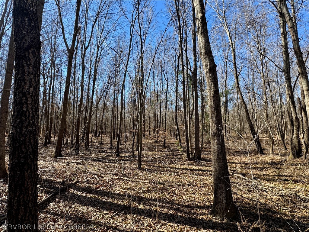 main property photo 27