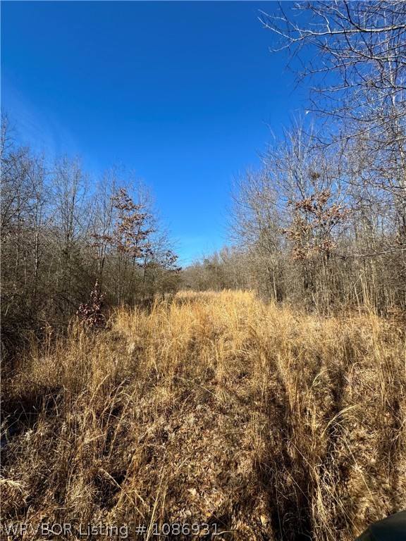 main property photo 30