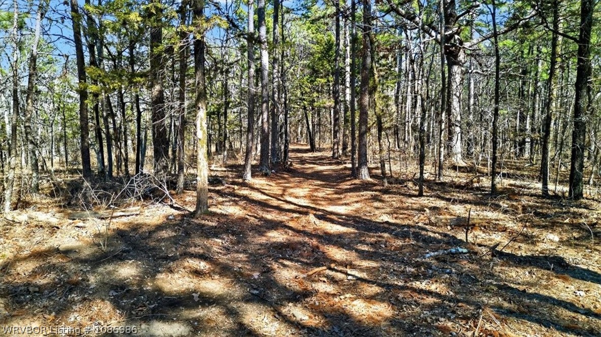 main property photo 22