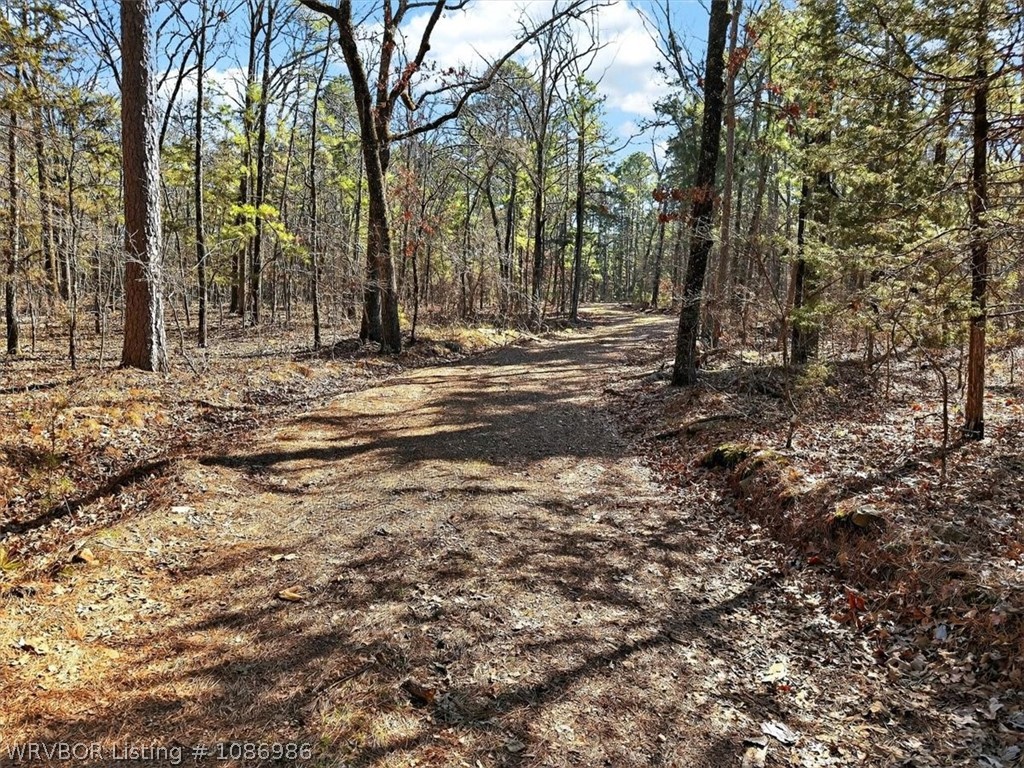 main property photo 38
