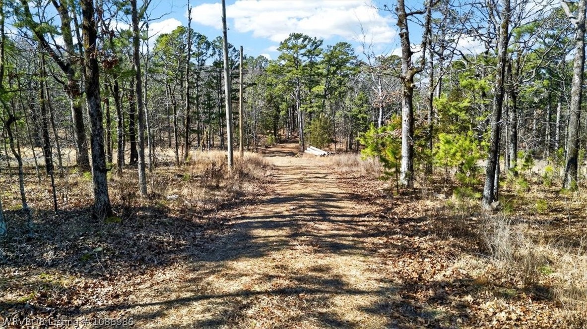 main property photo 42