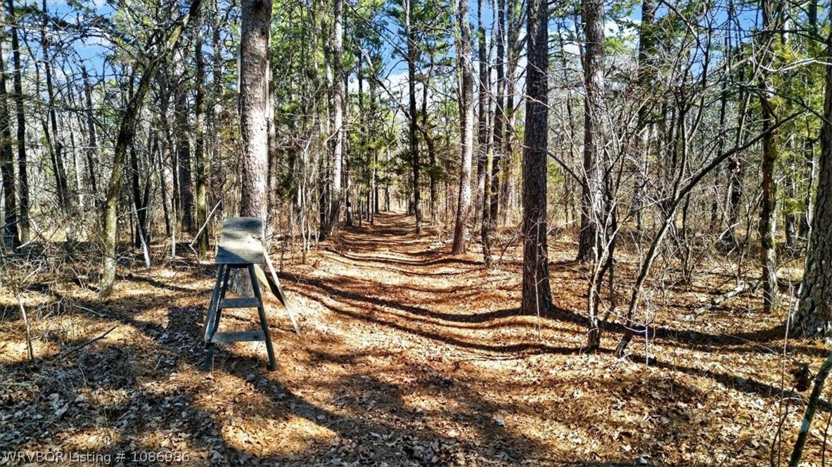 main property photo 45