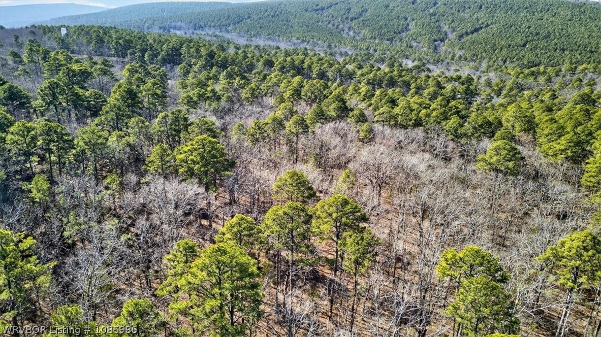 main property photo 50