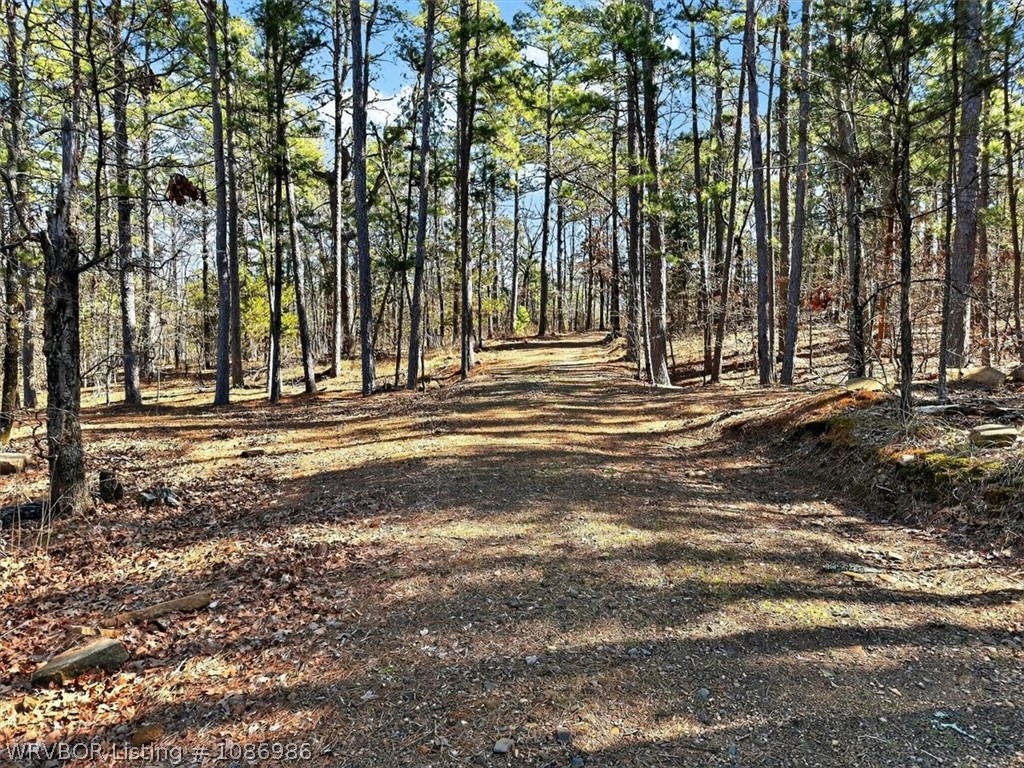 main property photo 52