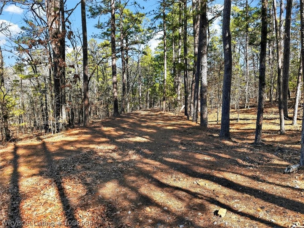 main property photo 53