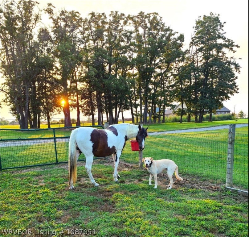 main property photo 40