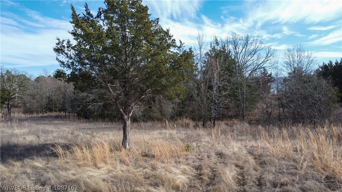 main property photo 33