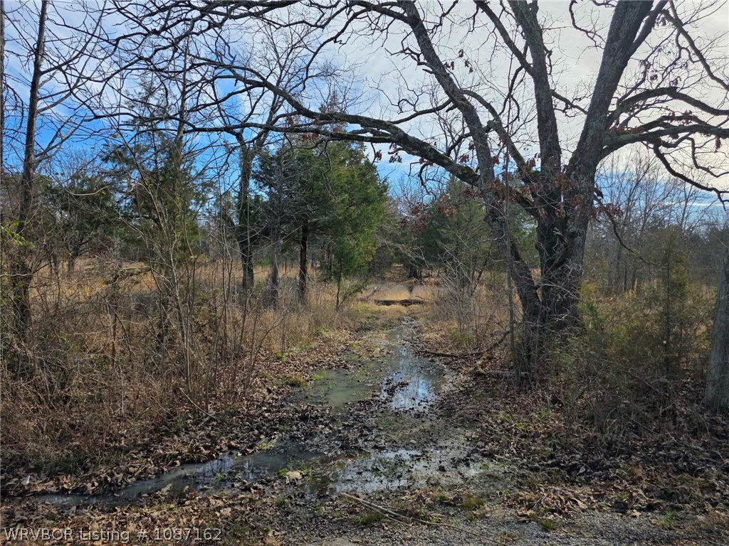 main property photo 49
